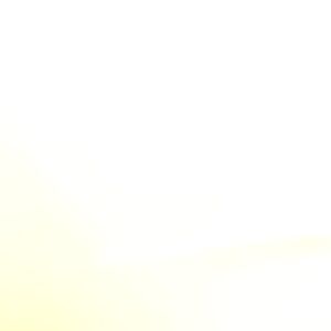 Meet your Posher, Jake